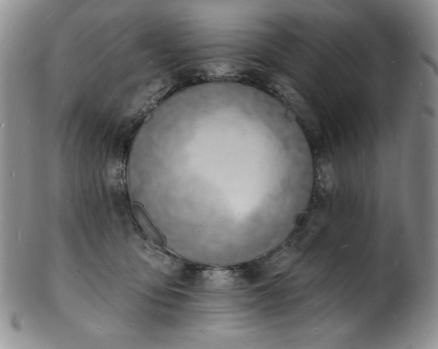 X0000101690419200807171440