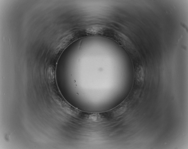 X0000101690420200807171439