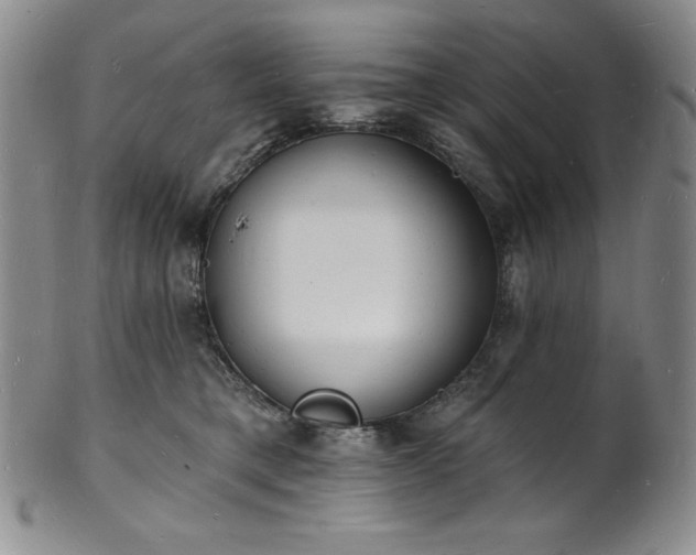 X0000101690421200807171439