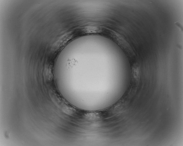 X0000101690422200807171439