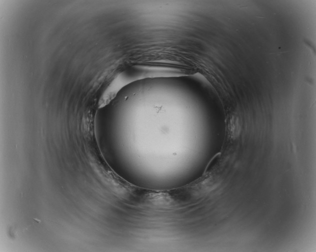 X0000101690424200807171439