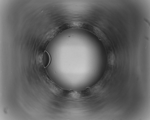 X0000101690425200807171439