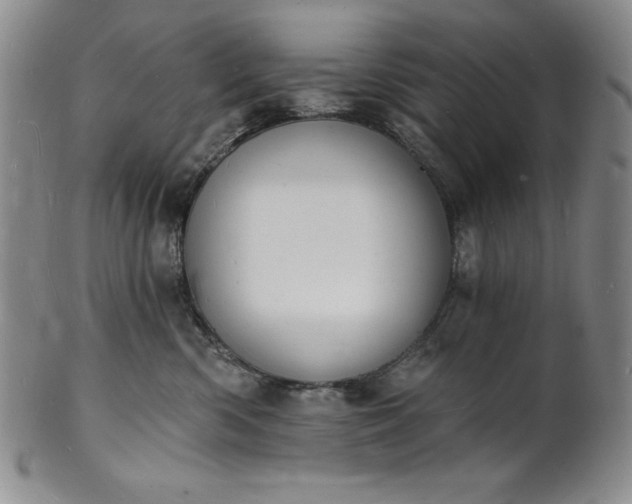 X0000101690426200807171439