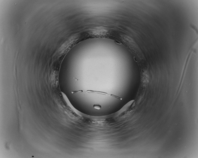 X0000101690428200807171439