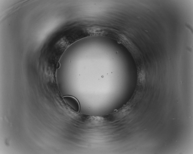 X0000101690429200807171439