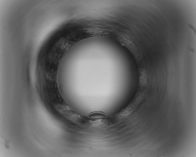 X0000101690430200807171439