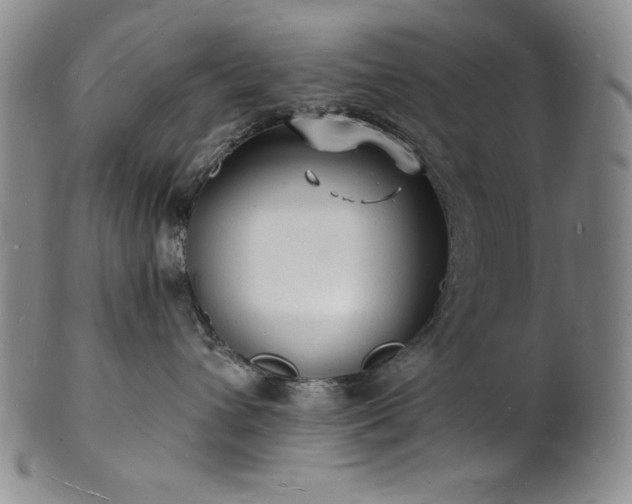 X0000101690432200807171439