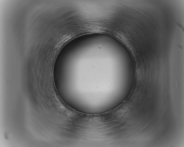 X0000101690433200807171439