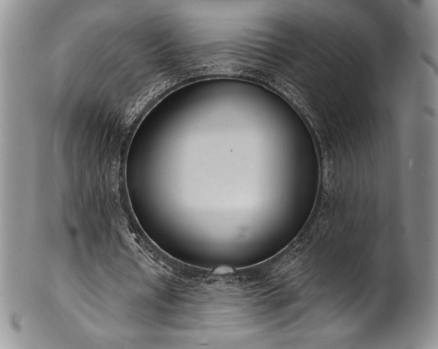 X0000101690434200807171439