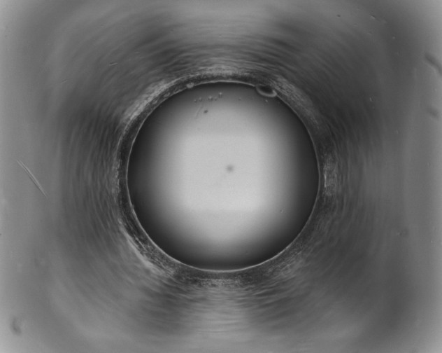 X0000101690436200807171439