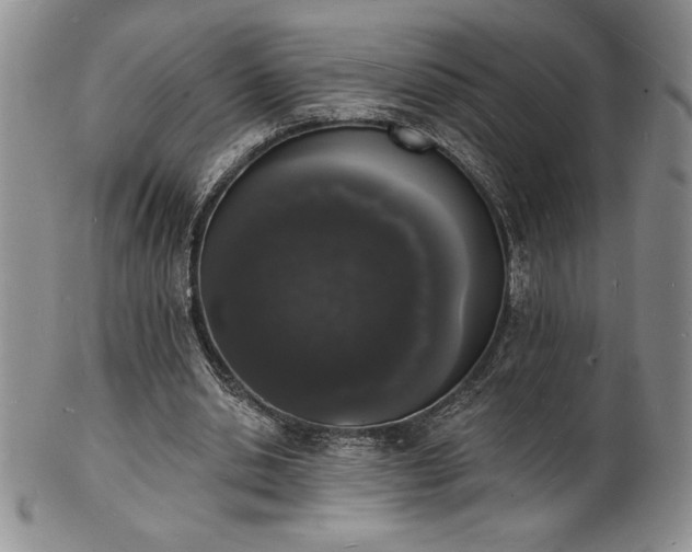 X0000101690438200807171439