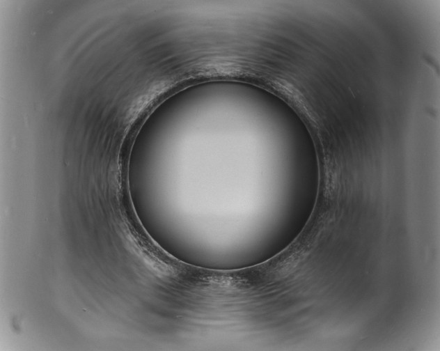 X0000101690439200807171439