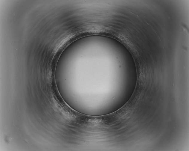 X0000101690440200807171439