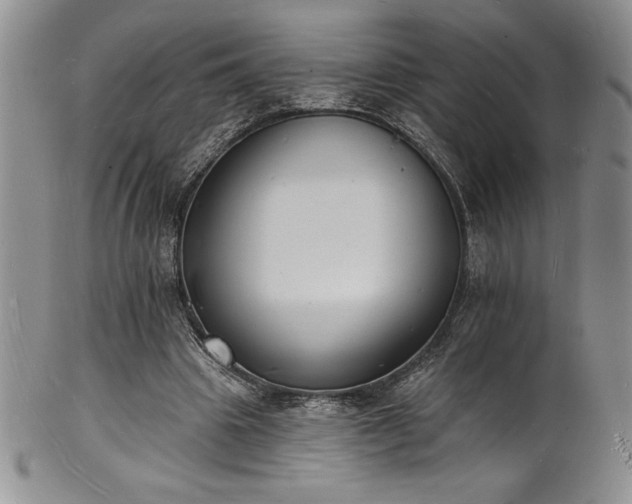 X0000101690441200807171439