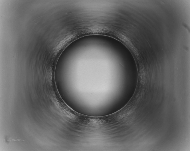 X0000101690442200807171439