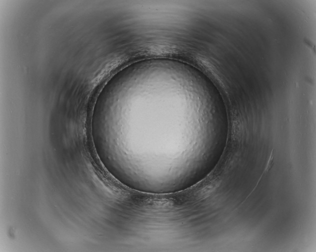 X0000101690443200807171439