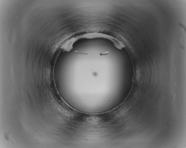 X0000101690444200807171439