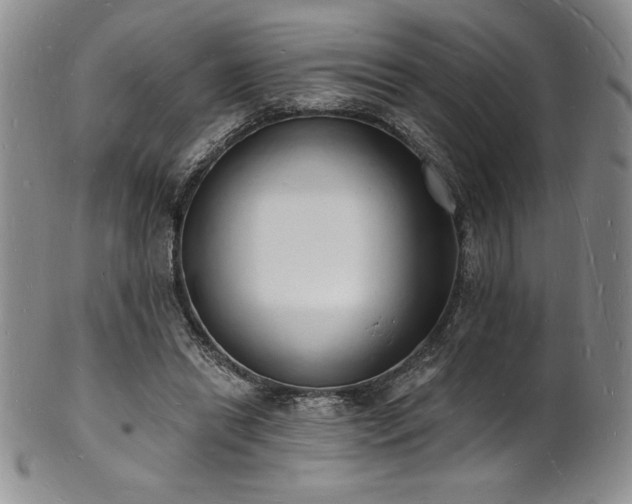 X0000101690446200807171439