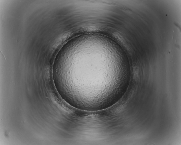 X0000101690447200807171439