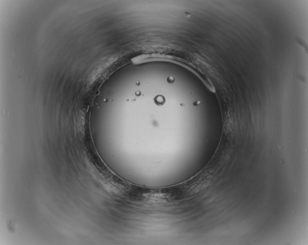 X0000101690448200807171439