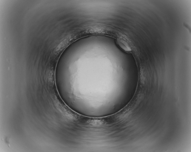 X0000101690449200807171439