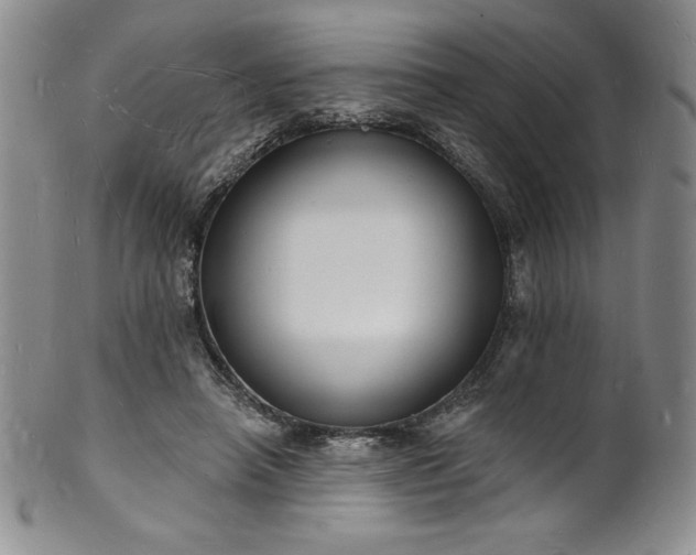 X0000101690450200807171439