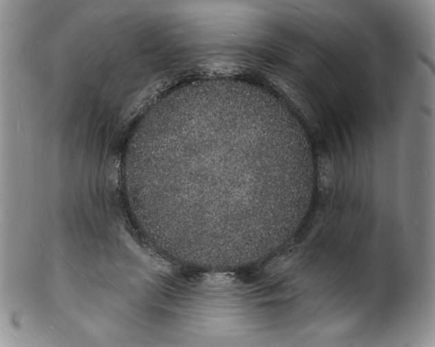 X0000101690451200807171439