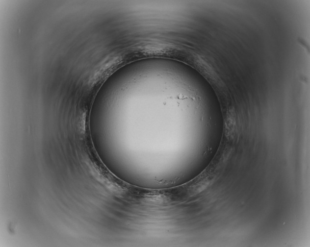 X0000101690454200807171439