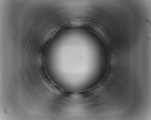 X0000101690455200807171439