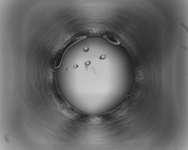 X0000101690456200807171439