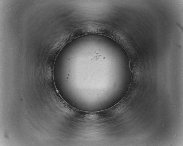 X0000101690457200807171439