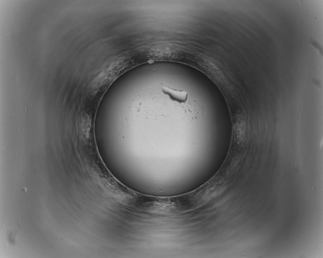 X0000101690458200807171439