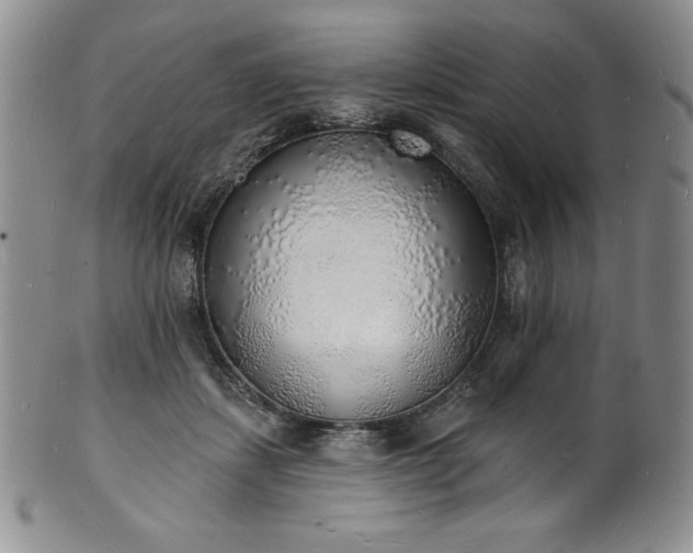 X0000101690459200807171439