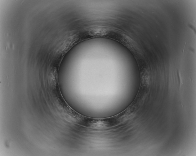 X0000101690460200807171439