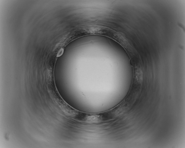 X0000101690461200807171439