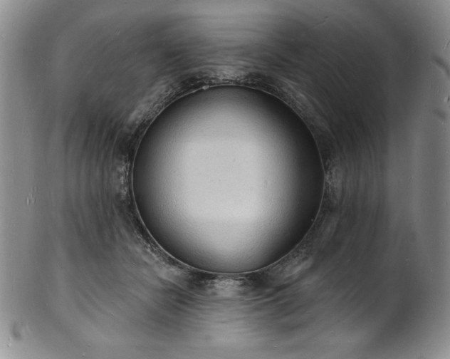 X0000101690462200807171439