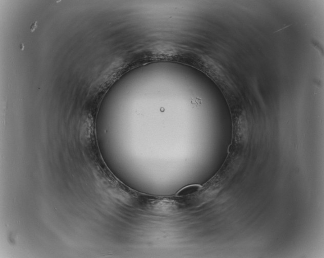 X0000101690463200807171439