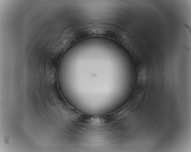 X0000101690464200807171439