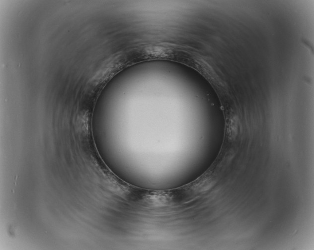 X0000101690466200807171439