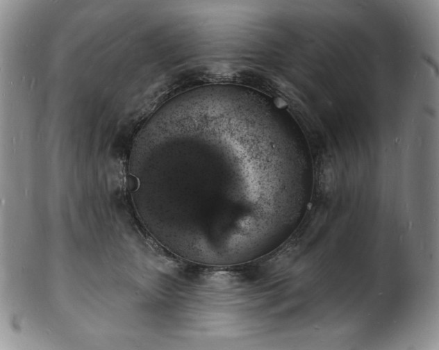 X0000101690467200807171439