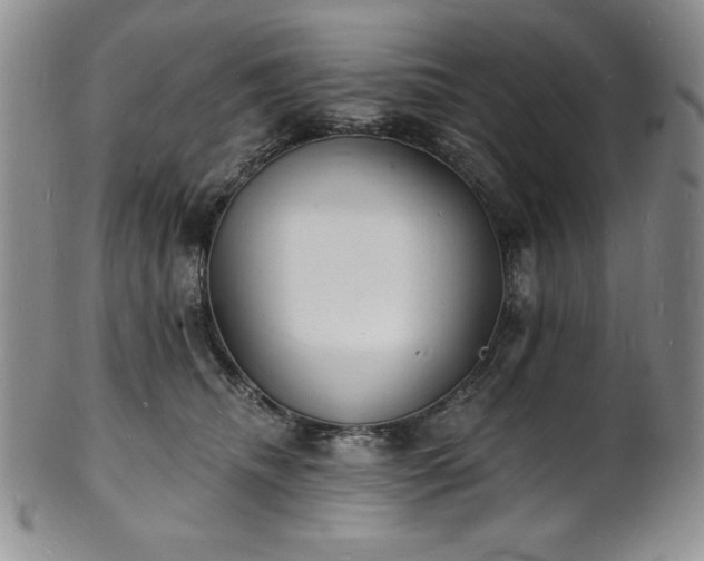 X0000101690468200807171439