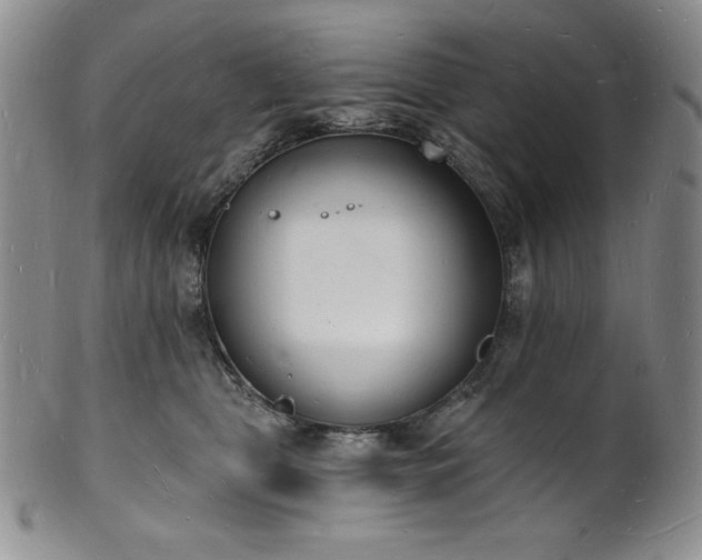 X0000101690469200807171439