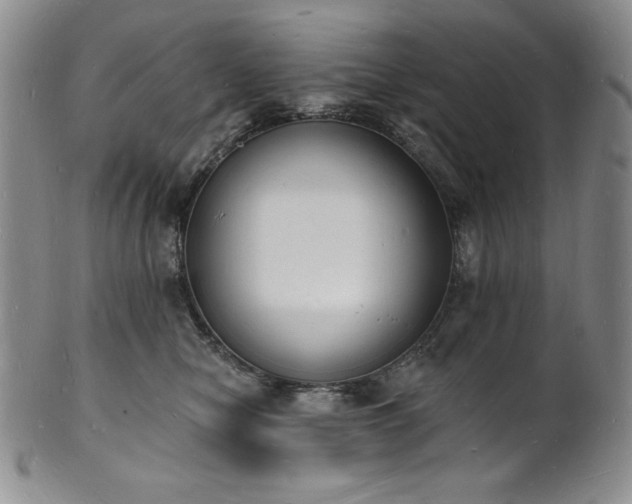 X0000101690470200807171439