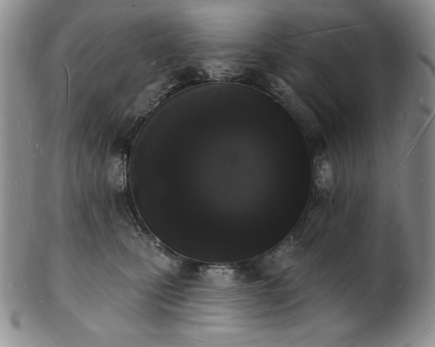 X0000101690471200807171439