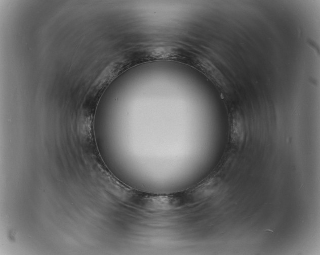 X0000101690473200807171439