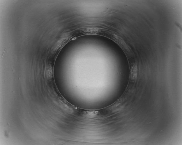 X0000101690474200807171439