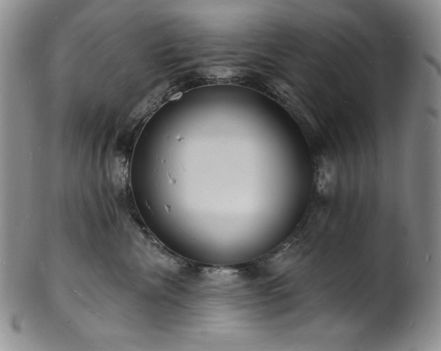 X0000101690476200807171439