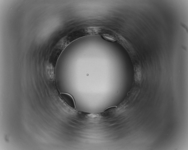 X0000101690477200807171439