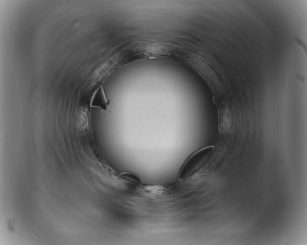 X0000101690478200807171439