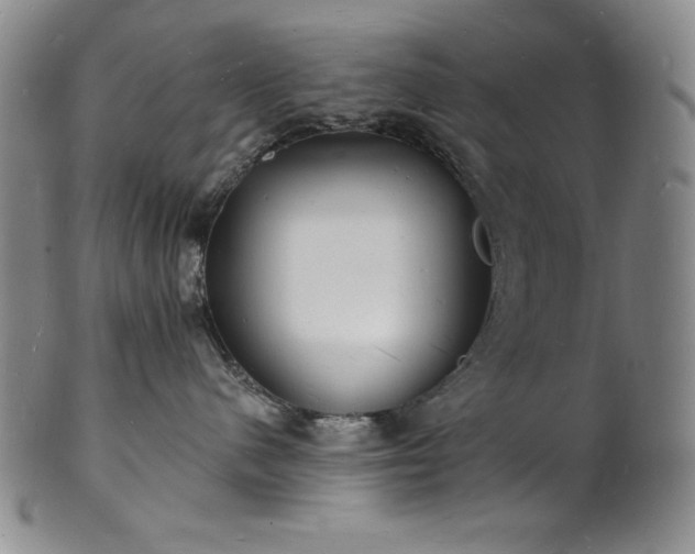 X0000101690480200807171439